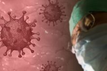 Corona-Virus befällt als „Multiorganvirus“ zahlreiche Organe