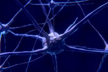 „Neuro-COVID“ – abgeschwächte antivirale Immunantwort im Nervenwasser