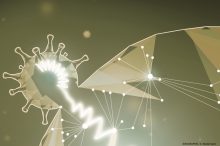 Corona: Wie das Virus mit Zellen interagiert