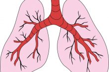 2. Auflage der Nationalen VersorgungsLeitlinie COPD