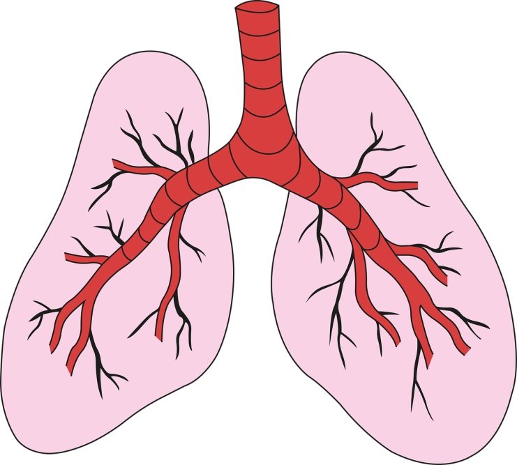 2. Auflage der Nationalen VersorgungsLeitlinie COPD