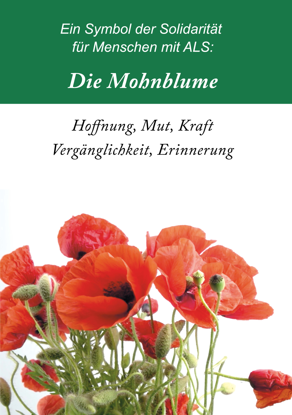 Global Day of ALS 2023: Die Mohnblume als Symbol der Solidarität für Menschen mit ALS