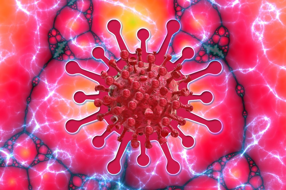 Unerwartete Abwehrreaktion gegen das Corona-Virus gefunden