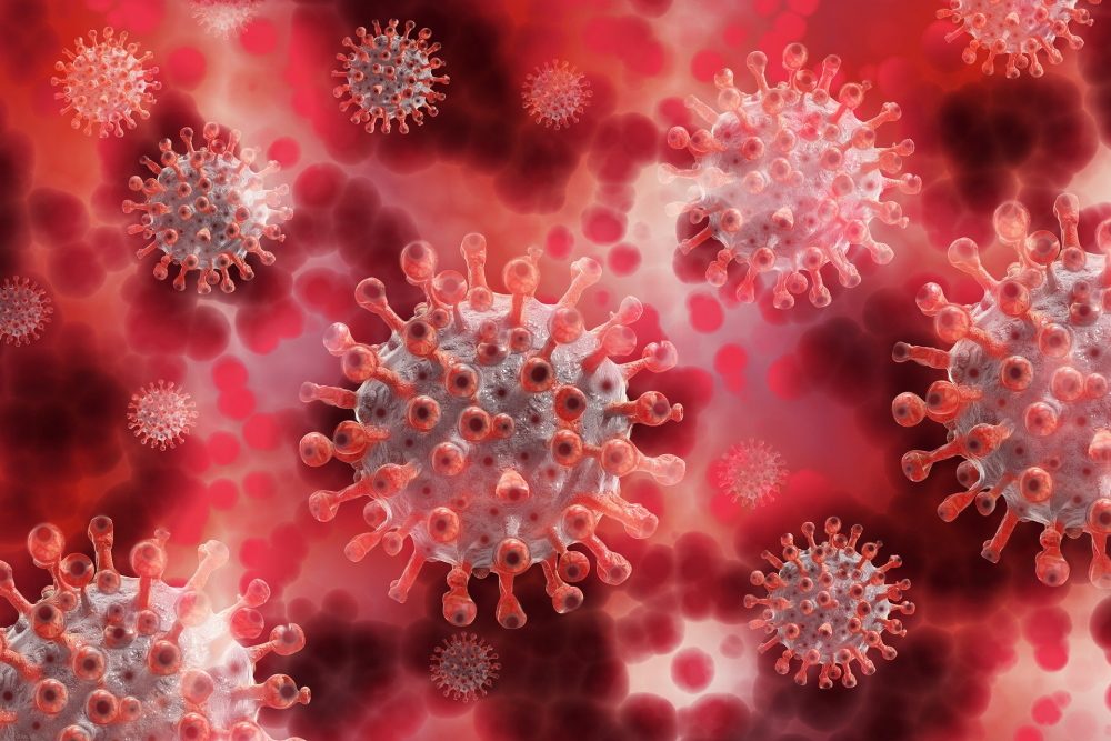 Neue Studie: Das Corona-Virus befällt auch das Herz