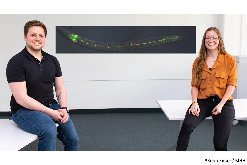 Hauptschalter für erblich bedingten Muskelschwund gefunden