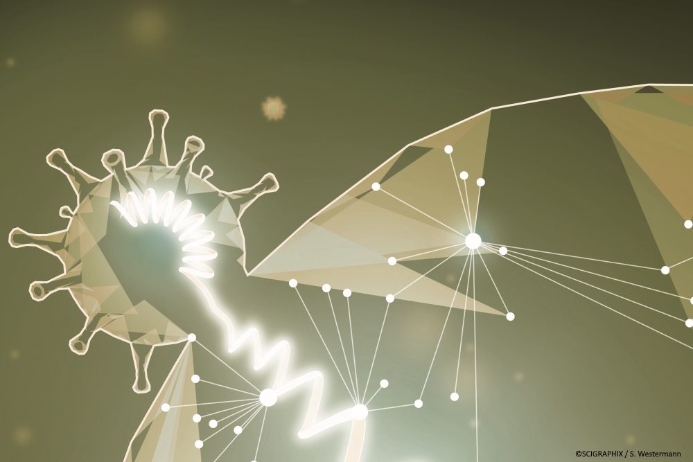 Corona: Wie das Virus mit Zellen interagiert