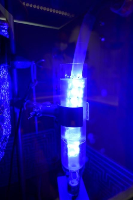 Leuchtender Beatmungstubus soll Infektionen reduzieren