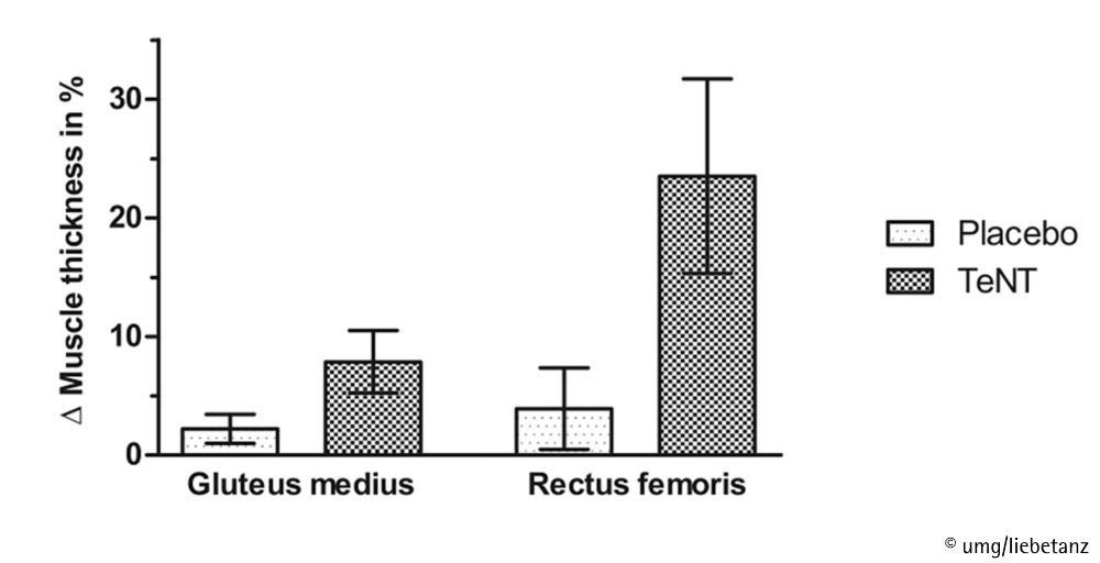 Tetanustoxin: Der erste Wirkstoff gegen Muskelabbau