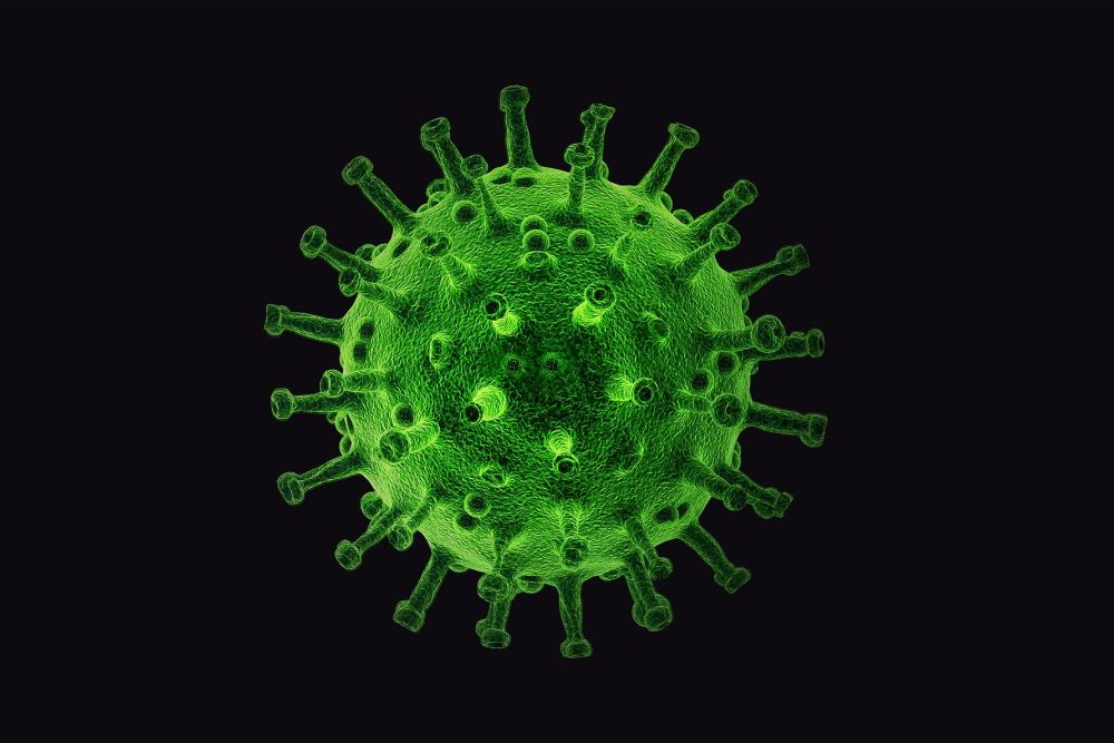 Können frühere Erkältungen die Schwere der SARS-CoV-2-Symptome beeinflussen?