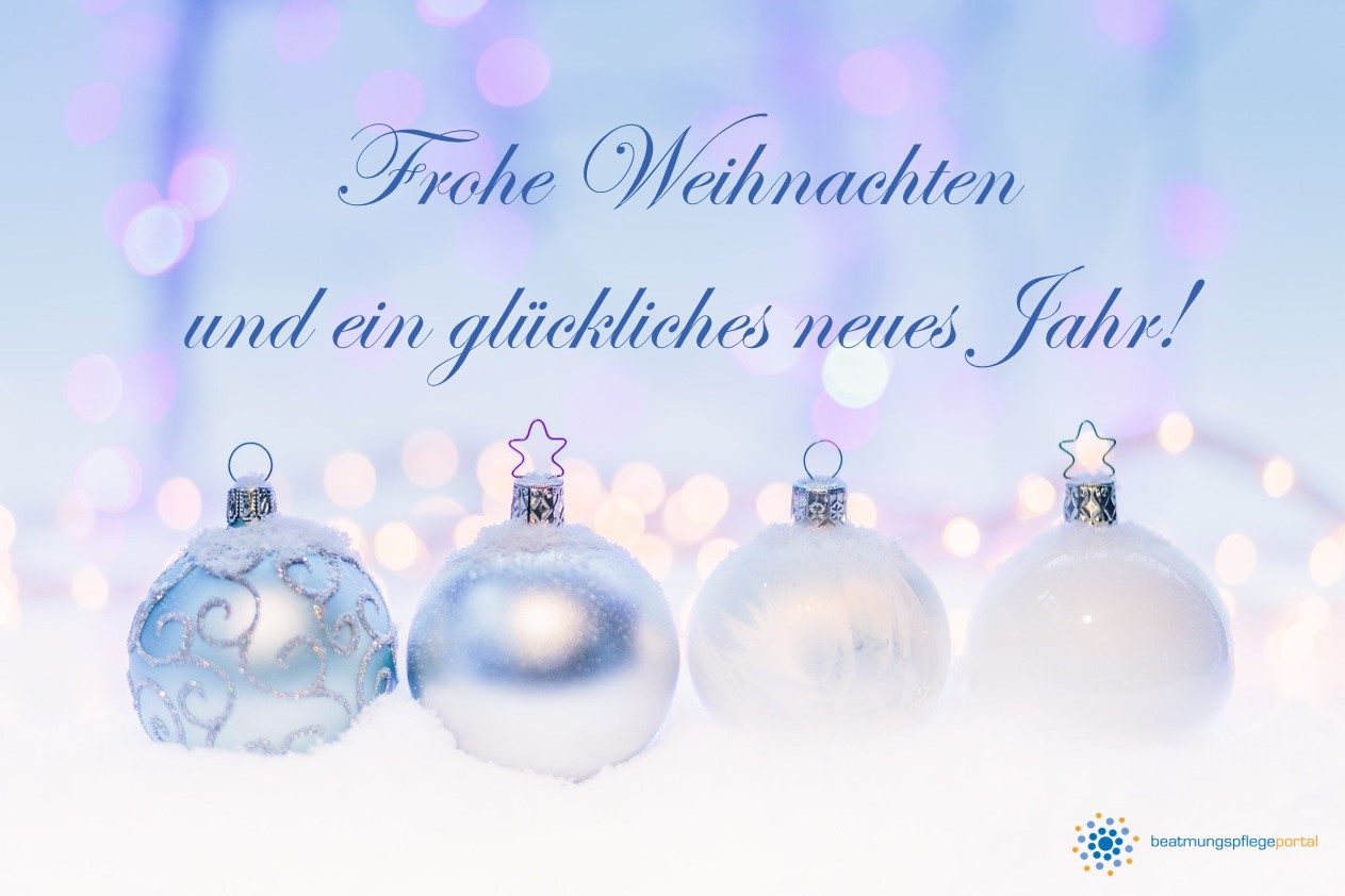 Frohe Weihnachten und ein glückliches neues Jahr!