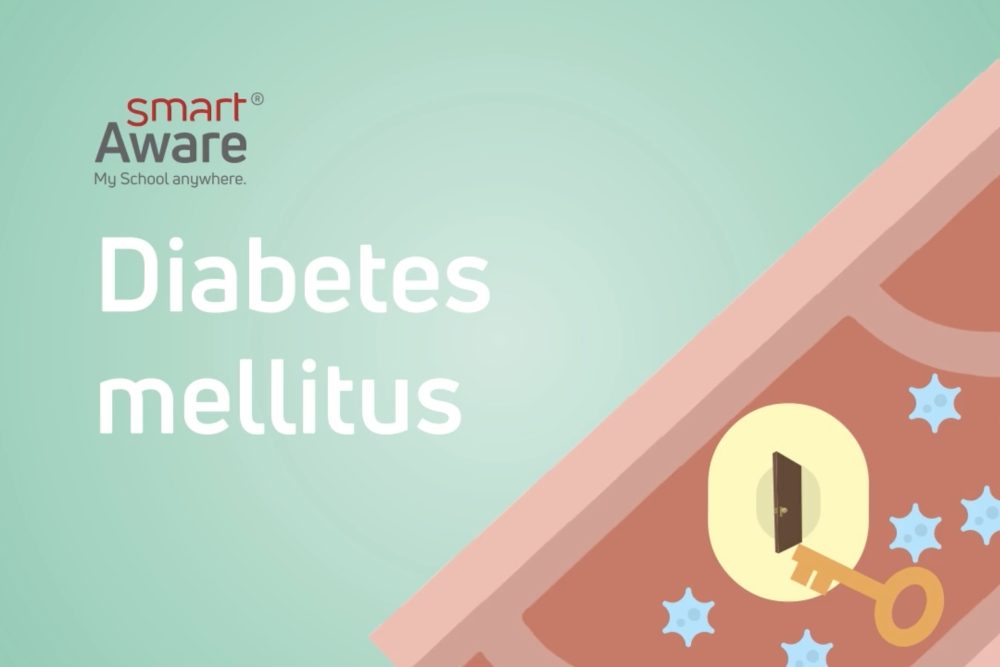 Jetzt online schulen: Diabetes mellitus