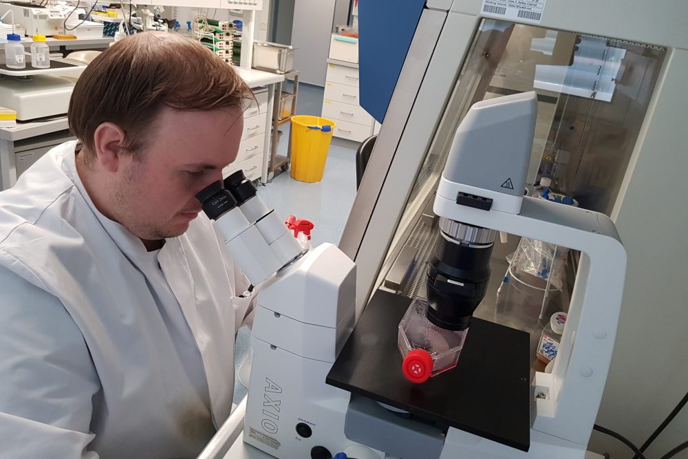 Malaria-Medikament Chloroquin hemmt SARS-CoV-2 nicht