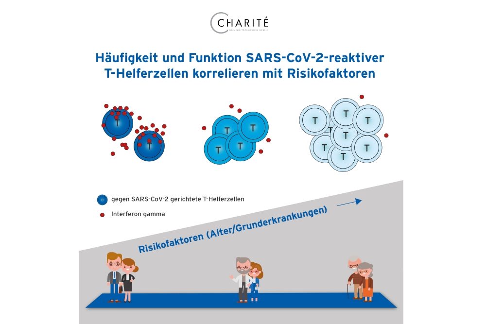 COVID-19-Risikogruppen: Warum das Immunsystem schlechter gegen das Virus ankommt