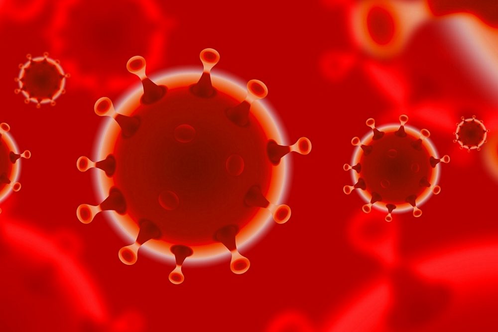 Immunreaktion gegen Sars-Cov-2 nach Organtransplantation