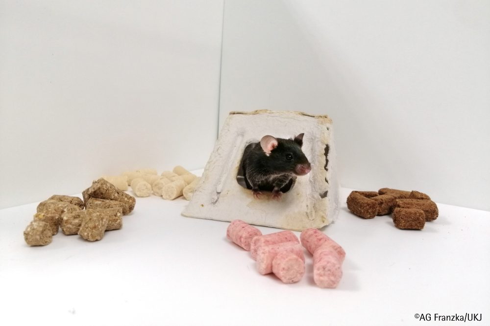 Diättherapie für erbliche neuromuskuläre Erkrankung