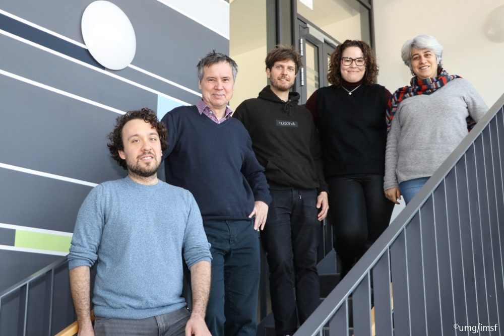 Lunge-Hirn-Achse: Mikrobielle Flora der Lunge steuert Immunbereitschaft des Gehirns