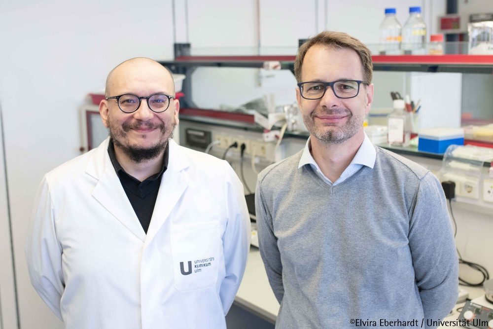 Neuer Behandlungsansatz für chronische Atemwegserkrankungen: Inhibitor stoppt überschießende Lungenschleim-Bildung