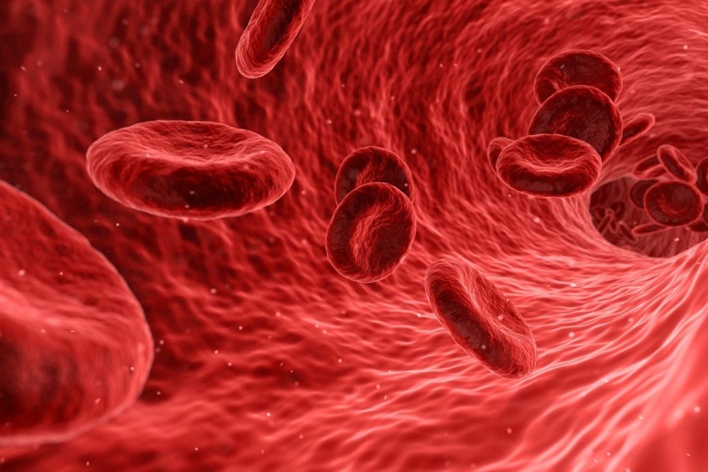 Neuer Ansatz zur Vorhersage des Ansprechens von Immuntherapien bei Lungenkrebs entwickelt
