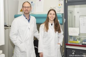 Gehemmtes Zellrecycling führt zu Muskelschwäche / Bonner Forschende klären Ursache für genetische Muskelerkrankung