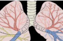 Organ Care System – Transportsystem für eine verbesserte Transplantation